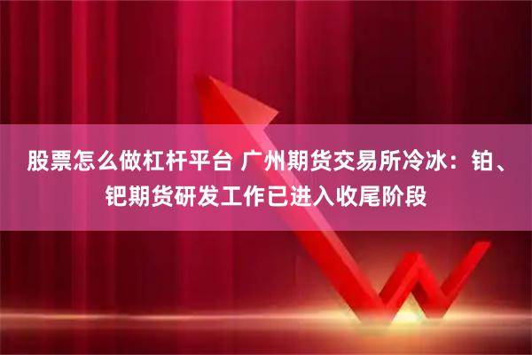 股票怎么做杠杆平台 广州期货交易所冷冰：铂、钯期货研发工作已进入收尾阶段